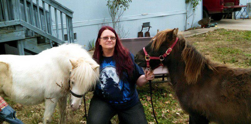 Dog impounded after attack on horses in Joplin
